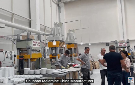 Shunhao Factory 300 Ton Melamine Molding Machine